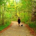 Cherokee Park