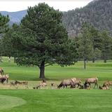 Estes Park 18-Hole Golf Course