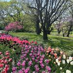 Brooklyn Botanic Garden