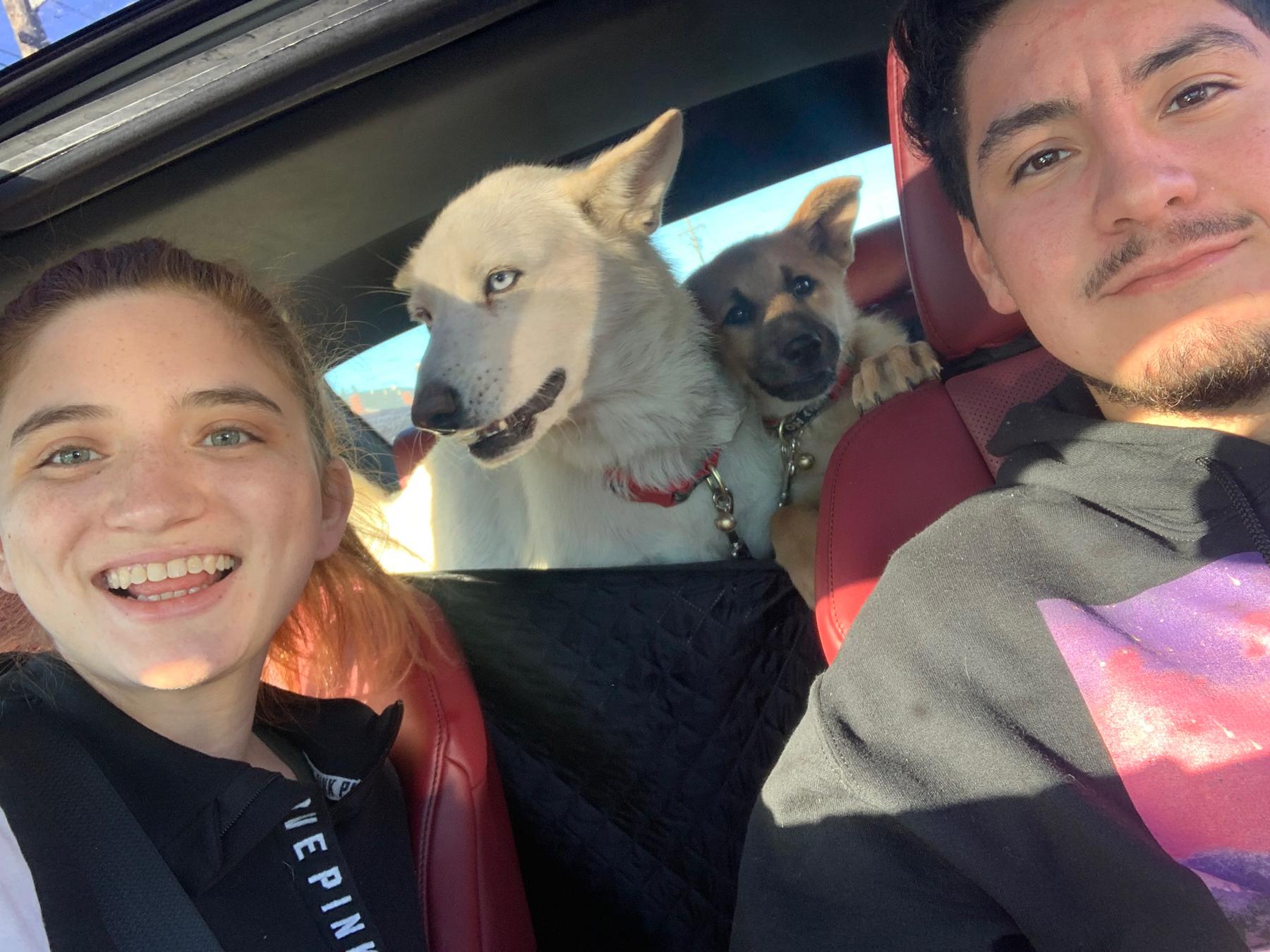 Luna our dog, had a litter of puppies and we ended up keeping the runt of the litter who is now named Nova!