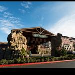 Great Wolf Lodge Water Park | Grand Mound