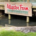 St. Augustine Alligator Farm Zoological Park