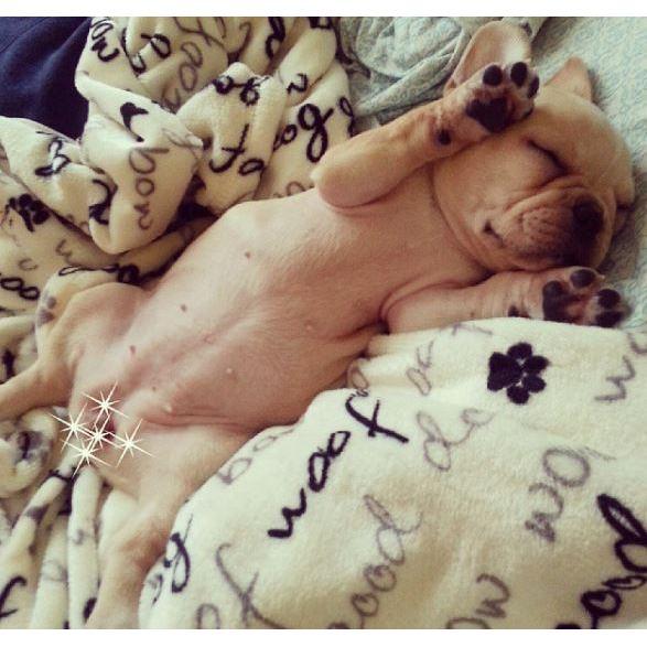 Welcome home Izzy Baby! 2014