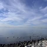 Shoreline Park
