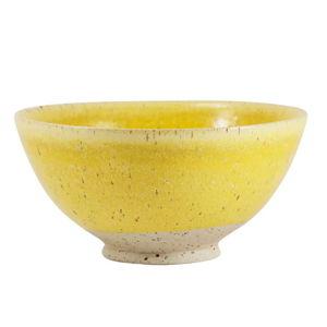 Spring Bowl (Little King Beacon, NY)