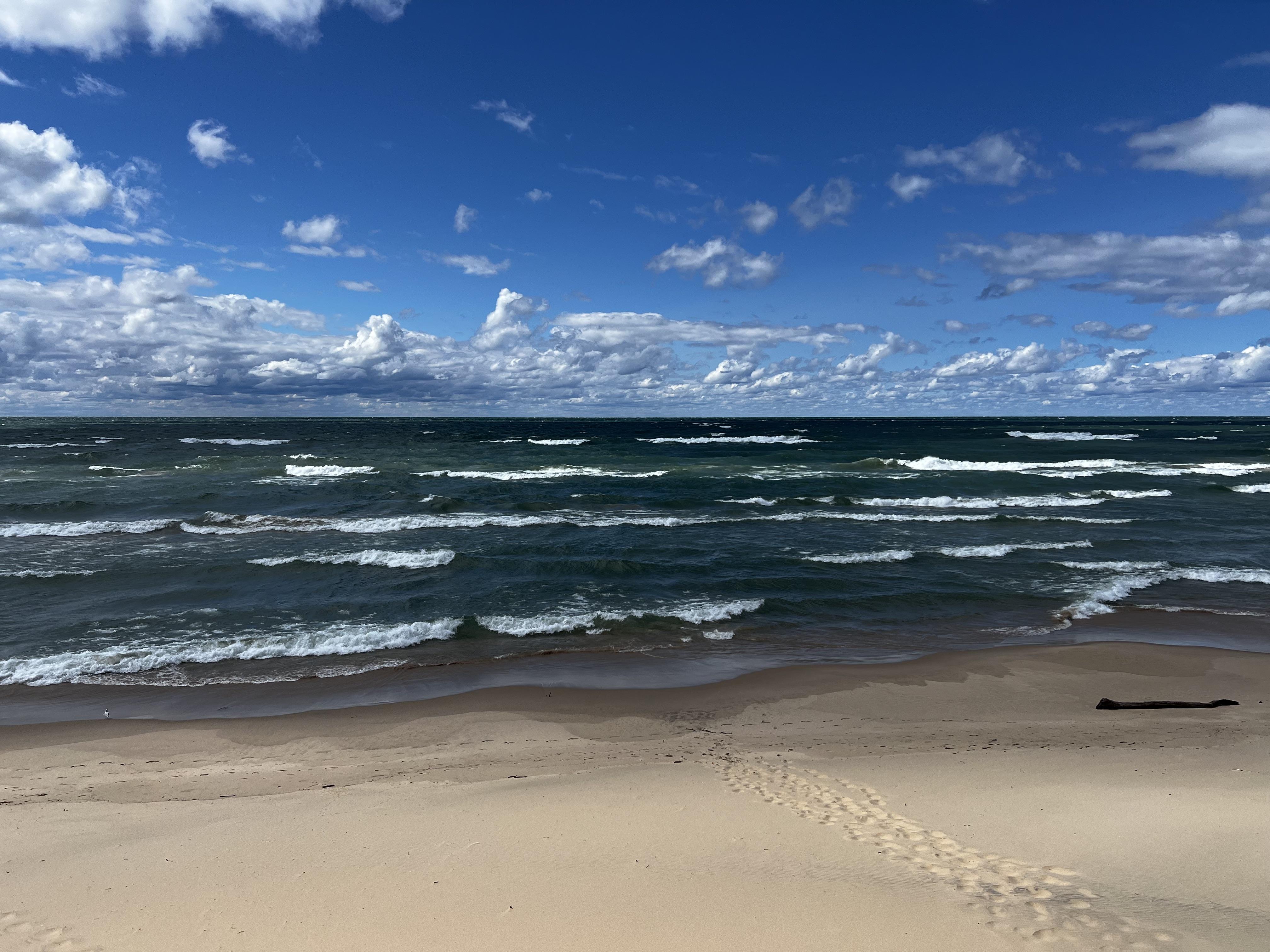 The Wedding Website of Jamie VanderLaan and Steve Vandenberg