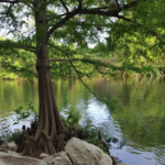 Walk the Riverwalk trail!