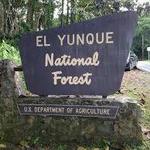 El Yunque