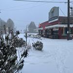 RidgeWood Bottle & Tap