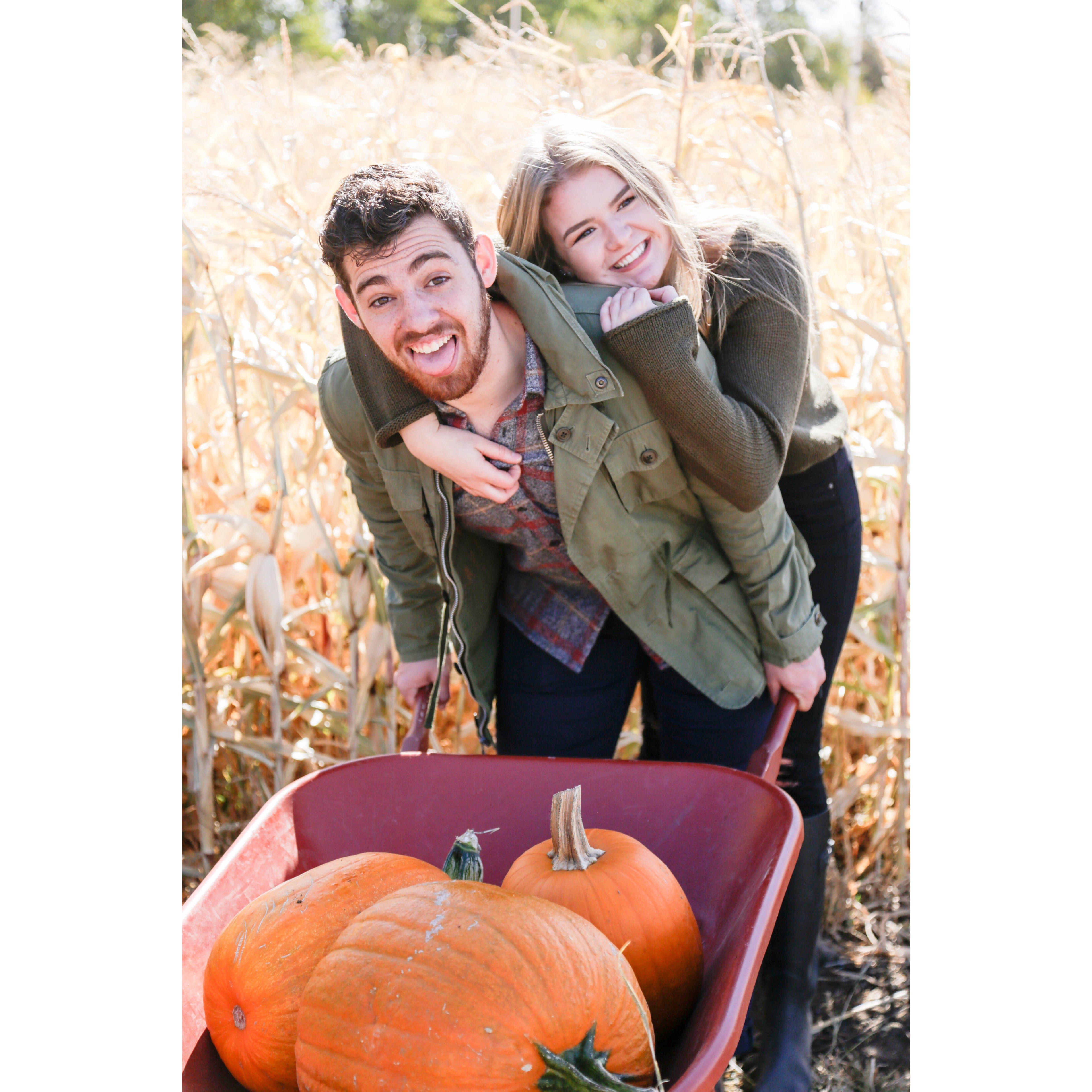 2017 - College pumpkin patch