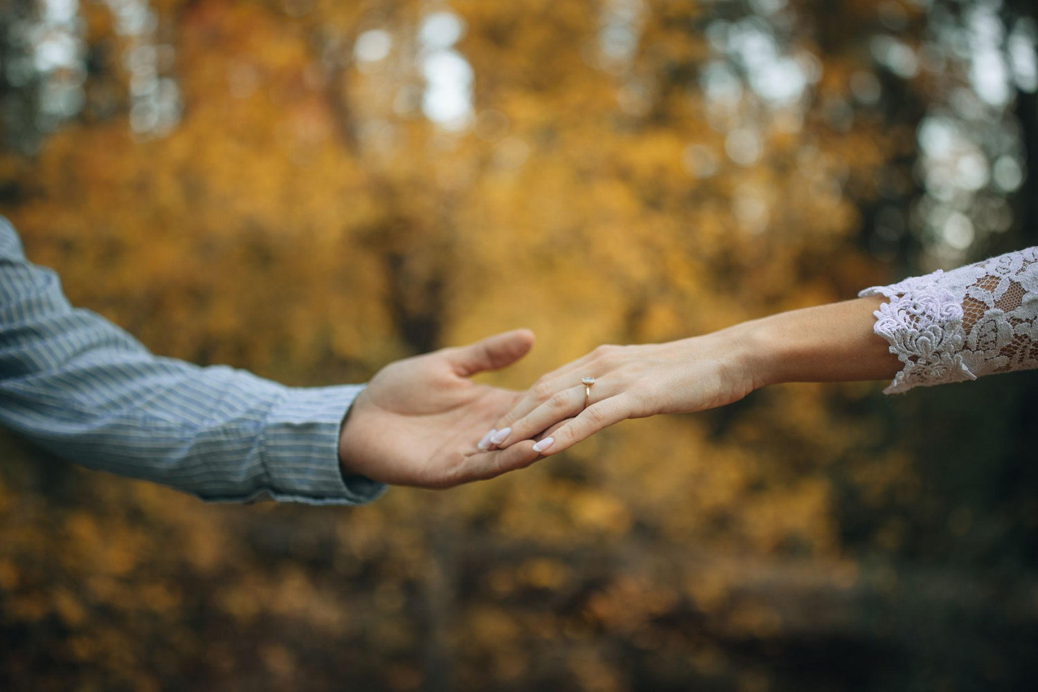 The Wedding Website of Caylen Haggard and Zachary Shamblin