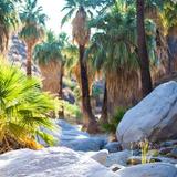La Quinta Cove to Lake Cahuilla Trail