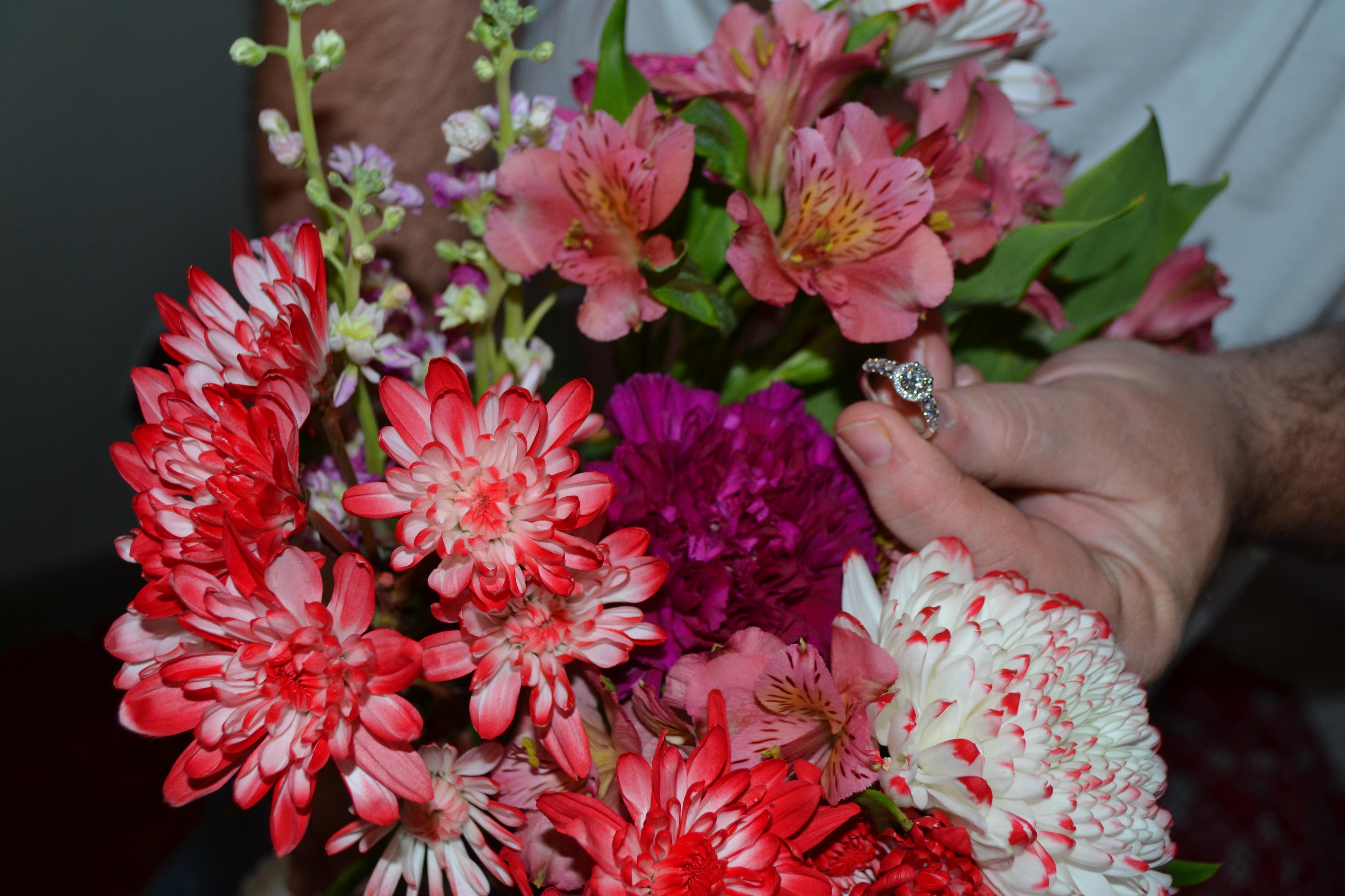 The Wedding Website of Carrie Covert and Eric Merck