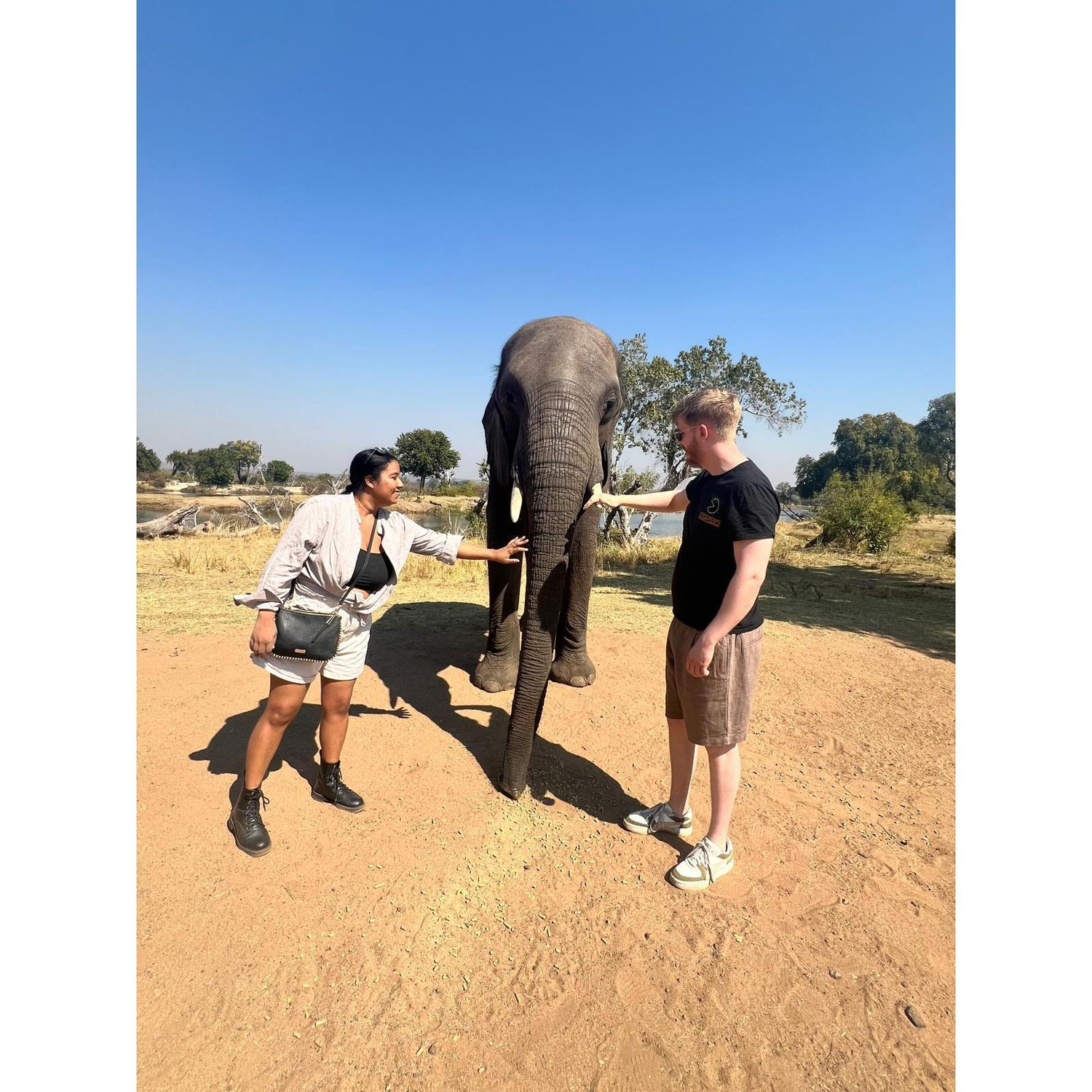 Feeding elephants in Zambia!