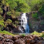 Waimea Valley
