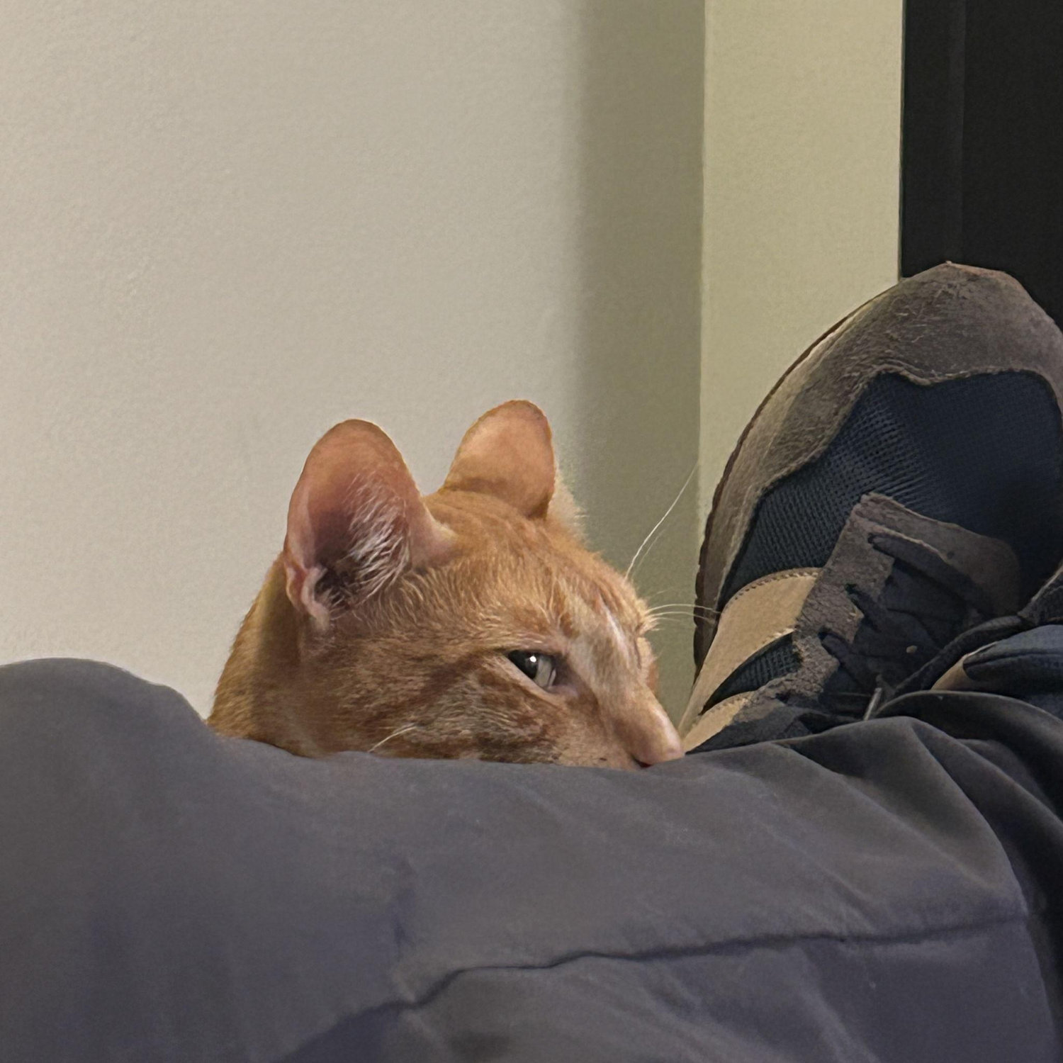 Suspicion