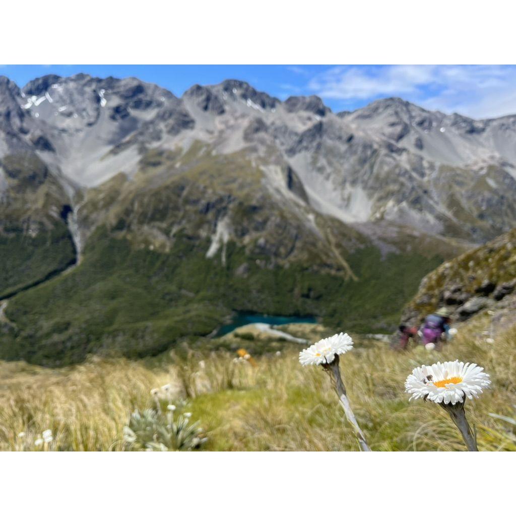 Nelson Lakes hiking NZ