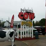 The Cow