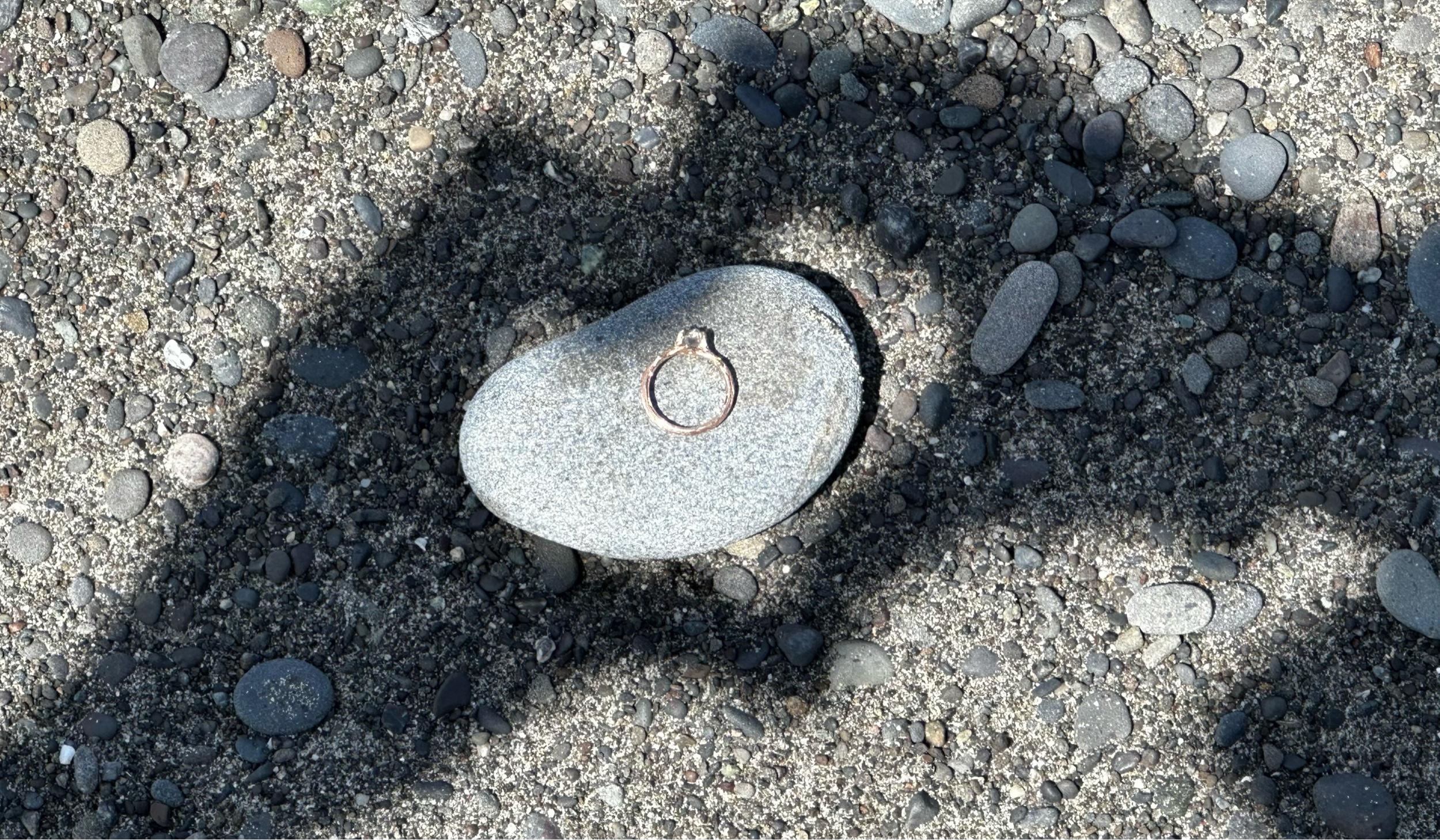 Hero Slideshow Image 2