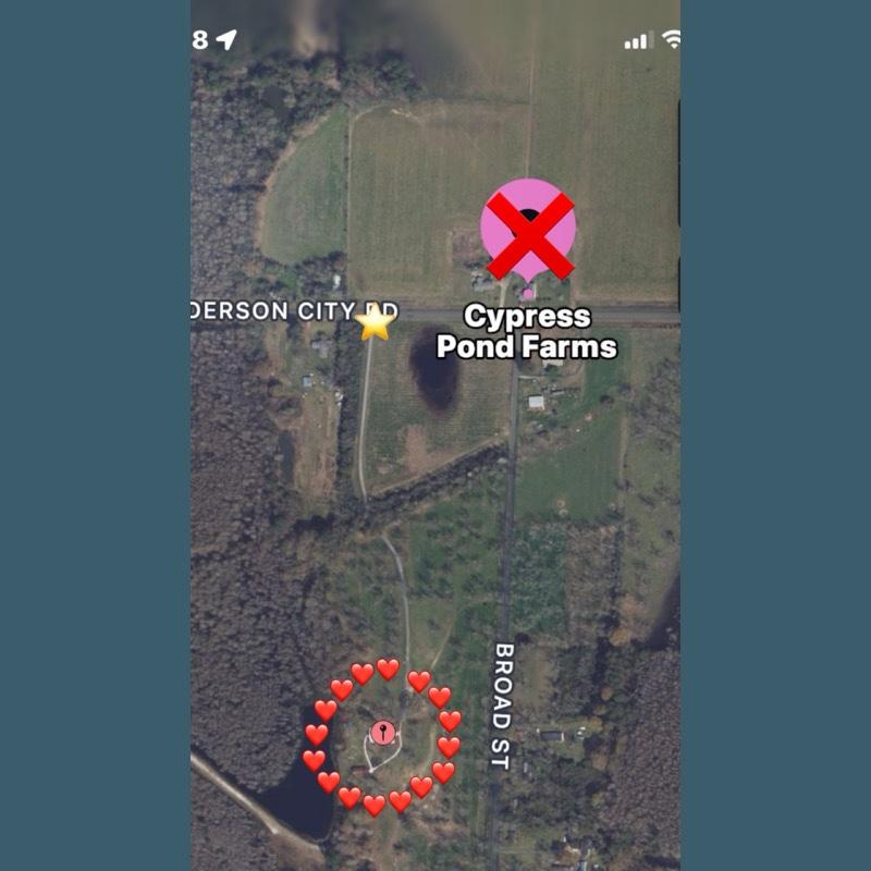 When using maps, it will try to tell you the pink pin is the venue, it is NOT. There is a long drive way 500 ft down that leads to the venue, and there will be balloons tied at the end of it.