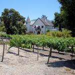 Wine Tasting