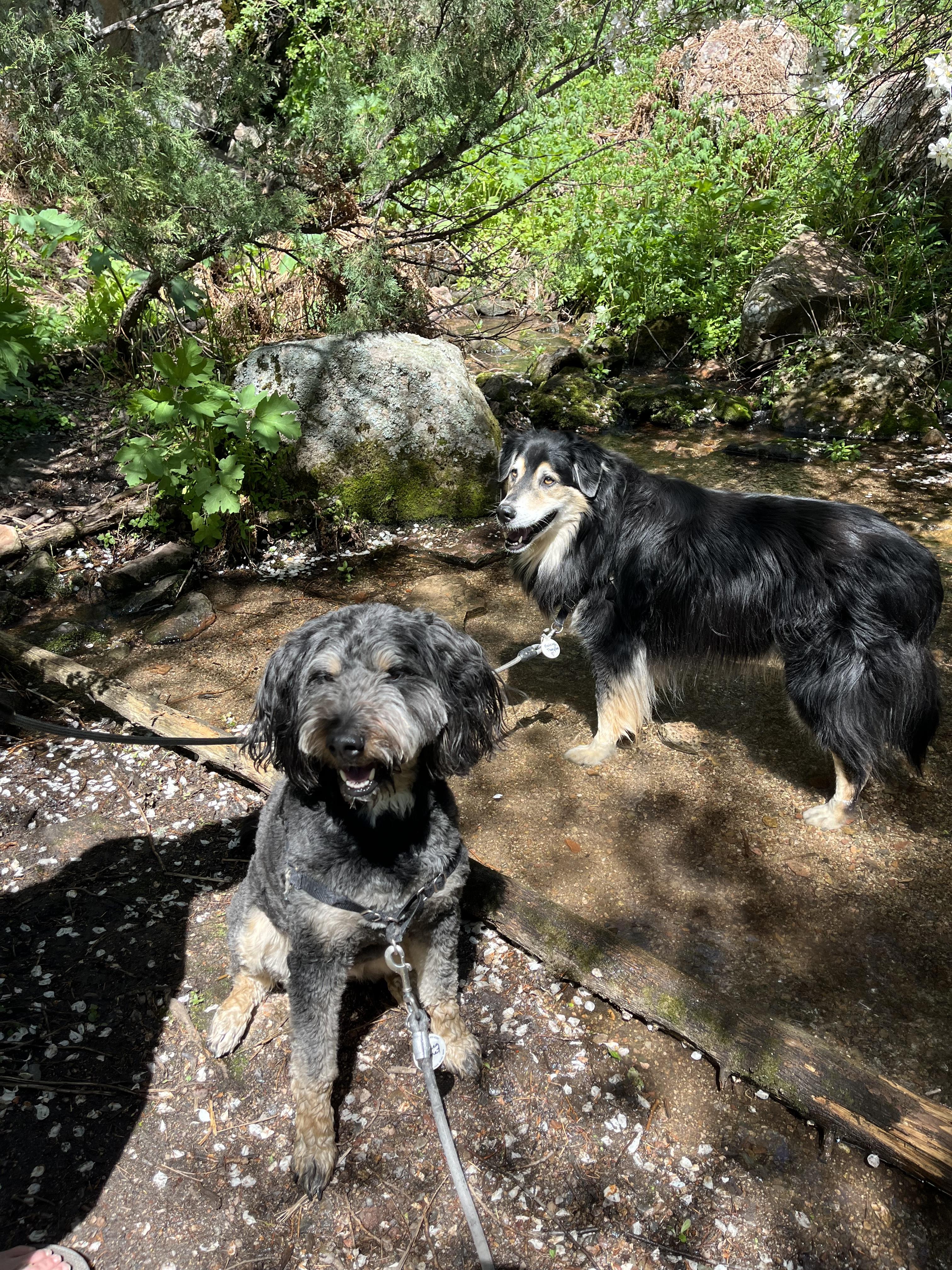 The Wedding Website of Kate Hamel and Greg Thompson