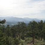 Mount Falcon Park