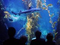 Birch Aquarium at Scripps Institution of Oceanography