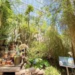Cleveland Botanical Garden