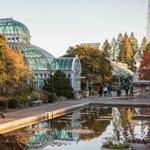 Brooklyn Botanic Garden