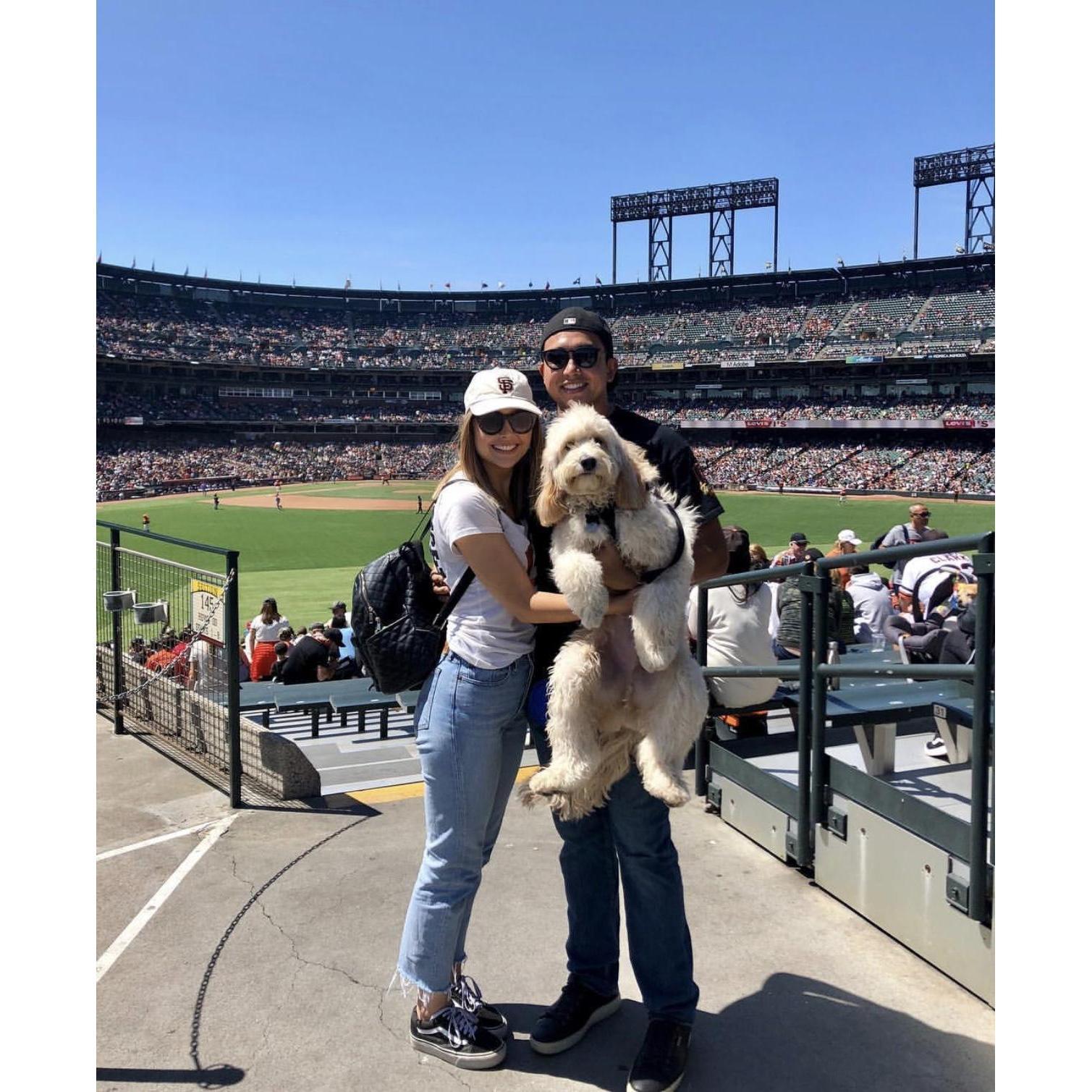 Dog Days of Summer 2018 - AT&T Park