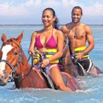 Chukka Horseback Ride N' Swim