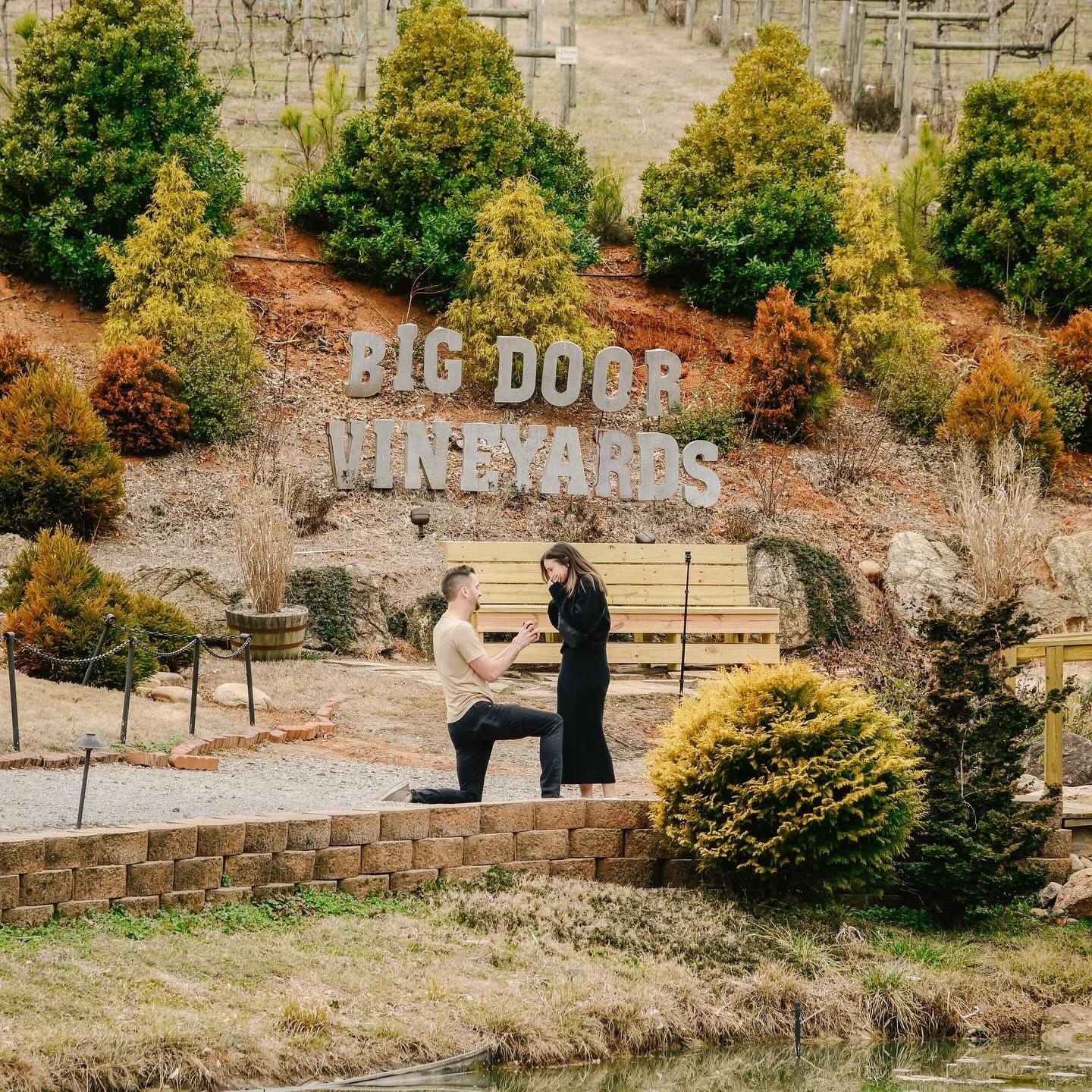 Our proposal - Melissa had no idea this was coming!
