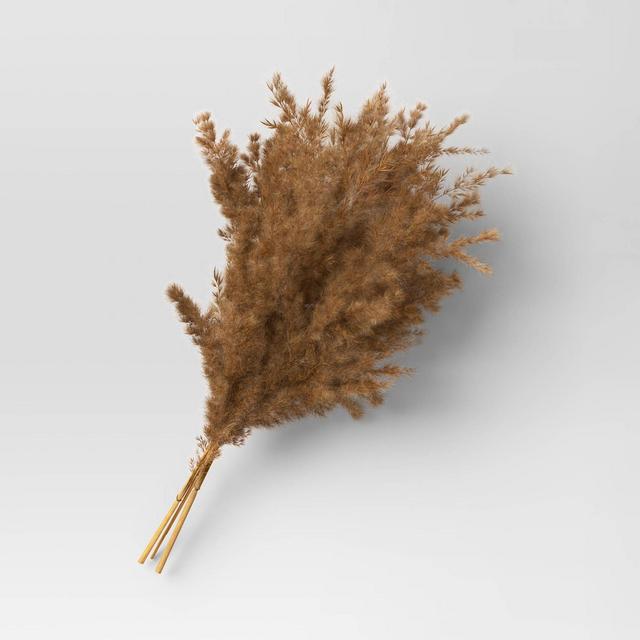 Pampas Grass Bundle - Threshold™