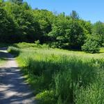 Honey Hollow Trail