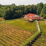 Running Hare Vineyard