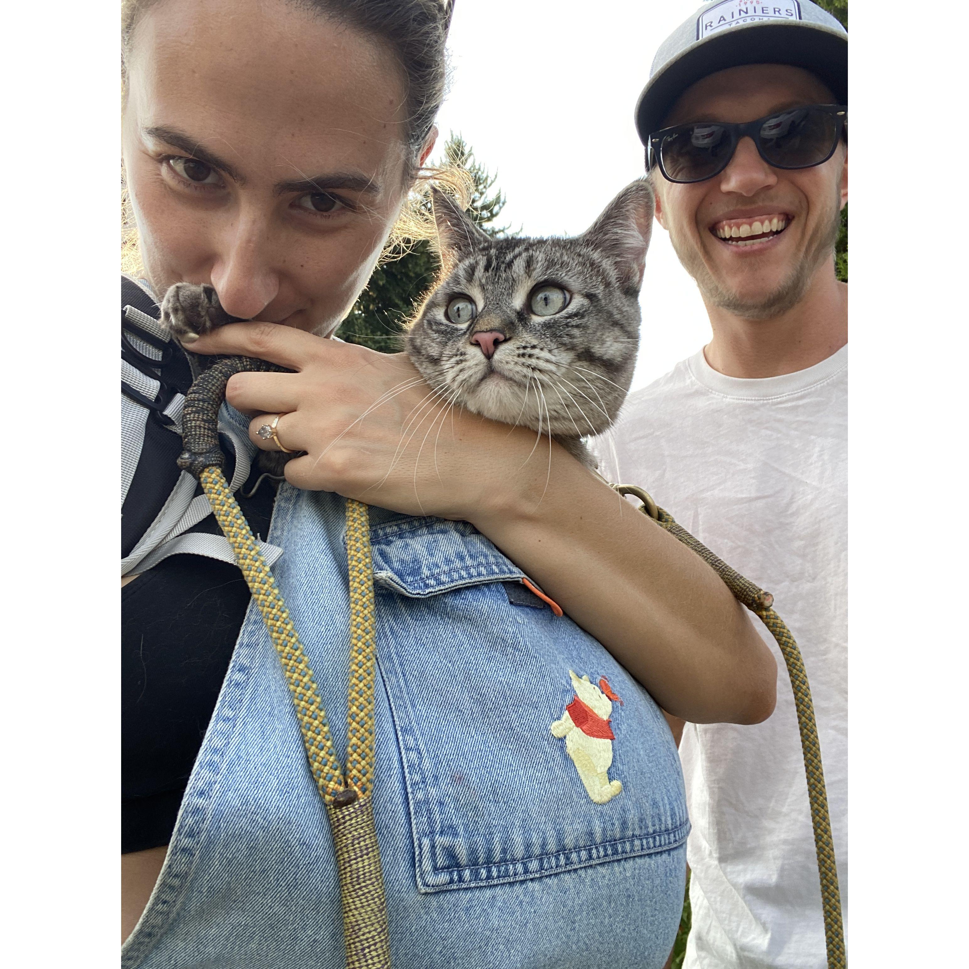 taking the raccoons for a walk