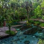 Wekiwa Springs