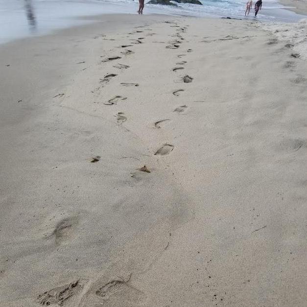 Our walks on the beach