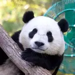 San Diego Zoo