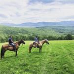 Mountain Brook Farm
