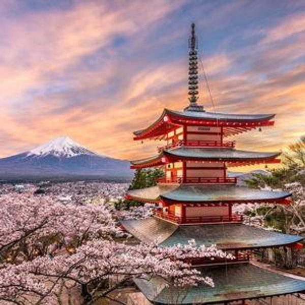 VENMO: Help us reach Japan / Ayudanos a llegar a Japon