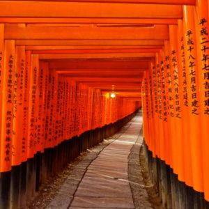 Visiting Temples in Kyoto