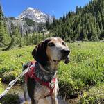Mount Hood Recreation