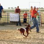 Goat Roping
