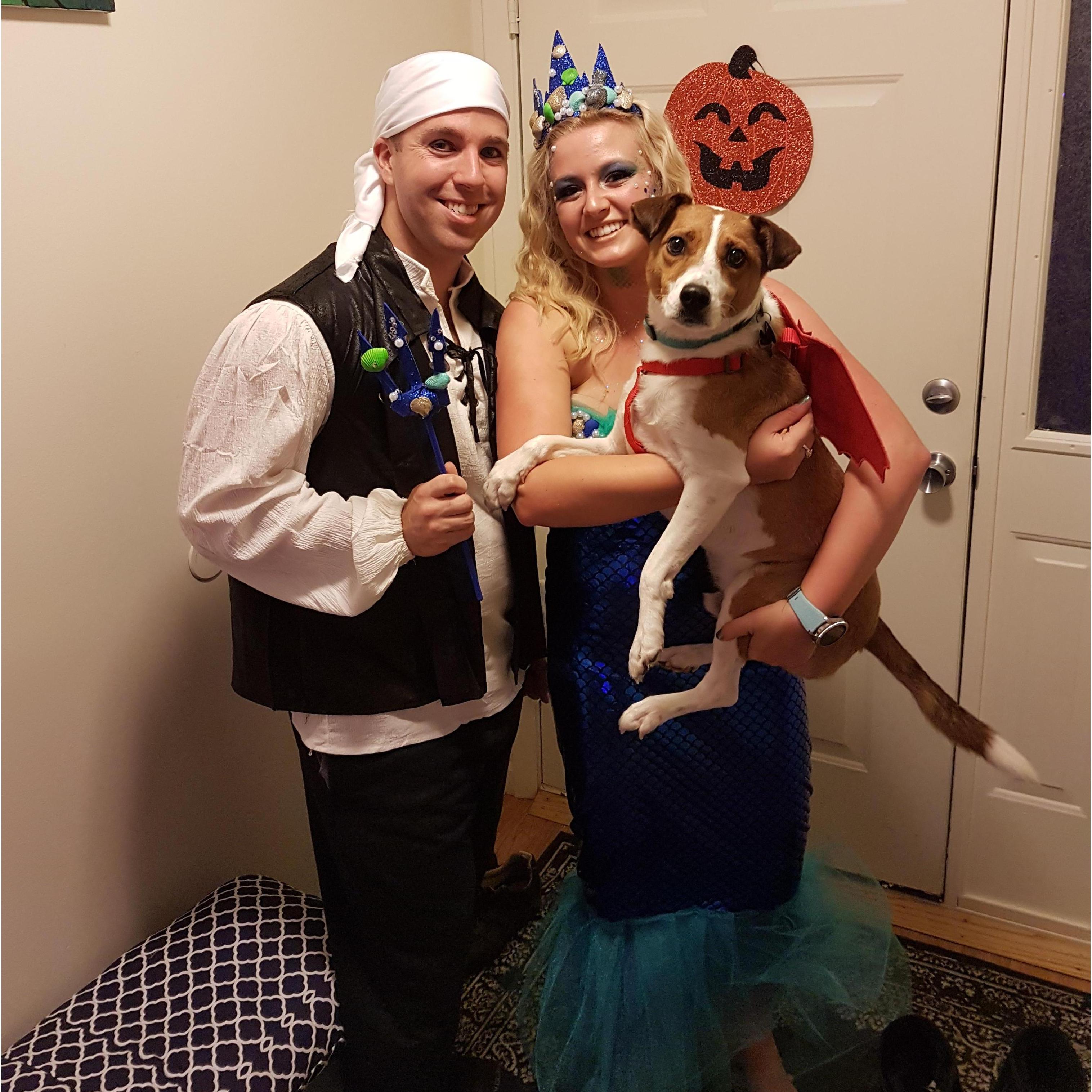 Our first Halloween with Buster!