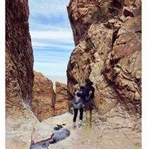 Big Bend National Park, TX.