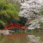 Birmingham Botanical Gardens