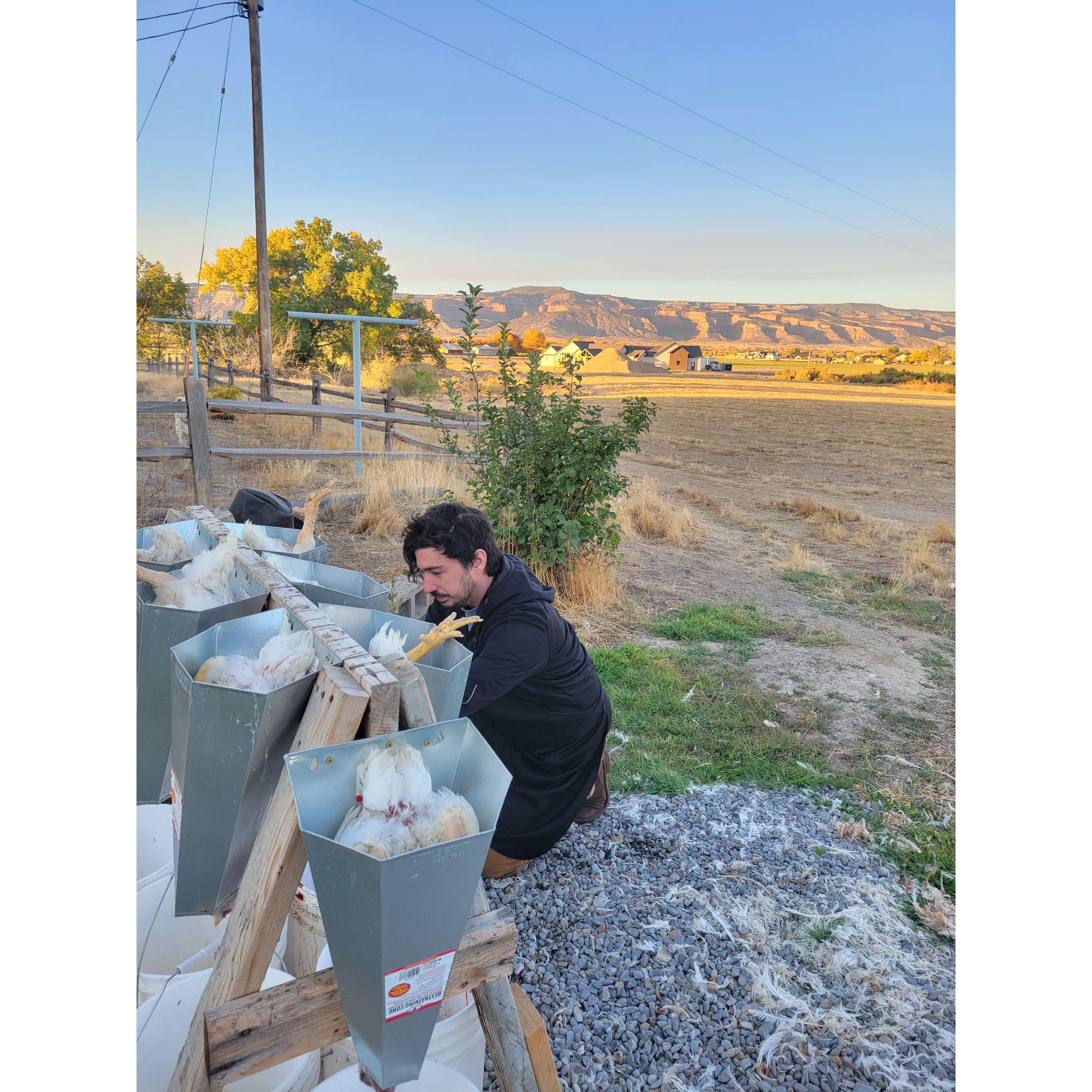 Chris came to help with the chicken farm