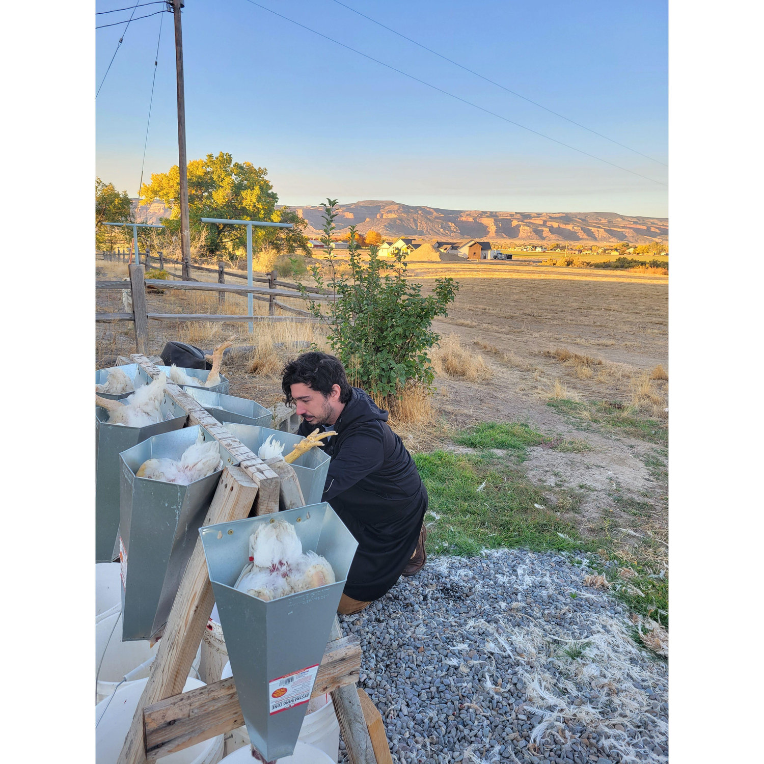 Chris came to help with the chicken farm